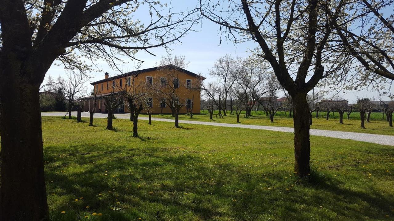 Agriturismo Borgo Borromeo Rubano Exteriér fotografie